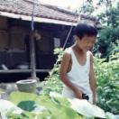 StillCut_0