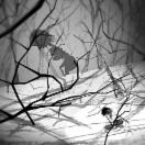 StillCut_0