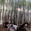StillCut_1