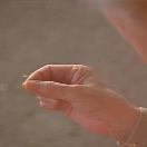 StillCut_1