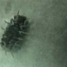 StillCut_4