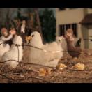 StillCut_1