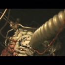 StillCut_1