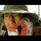 StillCut_1