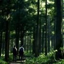 StillCut_0