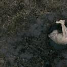 StillCut_3