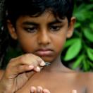 StillCut_0