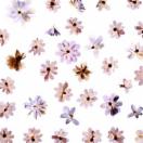 StillCut_3