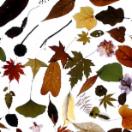 StillCut_2