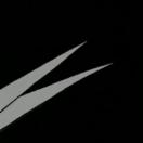 StillCut_0