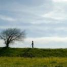 StillCut_0
