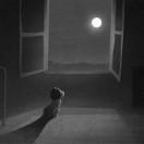 StillCut_0
