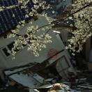 StillCut_0