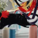 StillCut_1