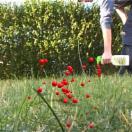 StillCut_0
