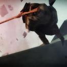 StillCut_2