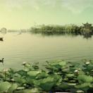 StillCut_0