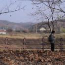 StillCut_0