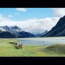 StillCut_0