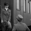 StillCut_0