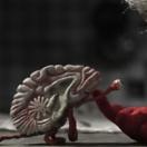StillCut_0