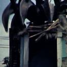 StillCut_0