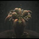 StillCut_1