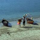 StillCut_0