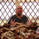 StillCut_1