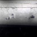 StillCut_0