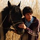 StillCut_0