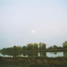 StillCut_0