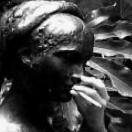 StillCut_0