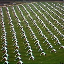 StillCut_3