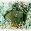StillCut_1