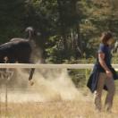 StillCut_0