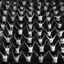 StillCut_1