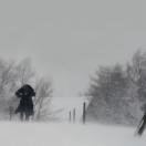 StillCut_0