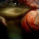 StillCut_0