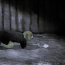 StillCut_0