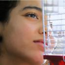 StillCut_0
