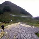 StillCut_3