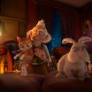 bodo_s11.jpg