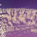 StillCut_0