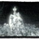 StillCut_0
