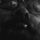 StillCut_0