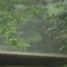 StillCut_4