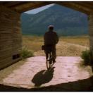 StillCut_0