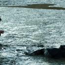 StillCut_2