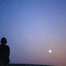 StillCut_3